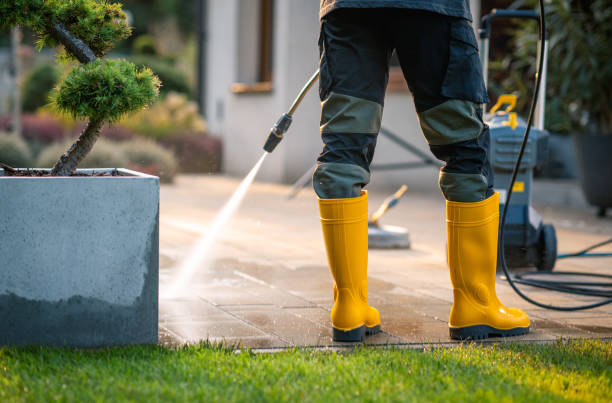 Local Pressure Washing Services in Southworth, WA